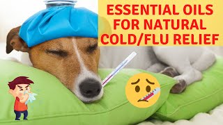 Antiviral Essential Oils Cold And Flu - Fall Essential Oils For Colds, Sore Throats And More