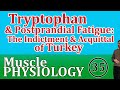 Tryptophan and Fatigue: The Indictment and Acquittal of Turkey