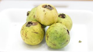 How to Eat Mexican Guava | White Guava Taste Test
