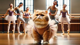 Sad Cat Bullied Cat who loves dance becomes a Star💔😿#cat #cute #cutecat