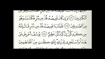 ١٢. سورة يوسف - عليه السلام - | نادر فليونه