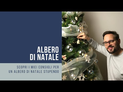 Video: Scegli l'albero di Natale perfetto: come scegliere la varietà giusta