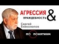 Агрессия & Враждебность "ПО ПОНЯТИЯМ" Сергей Ениколопов