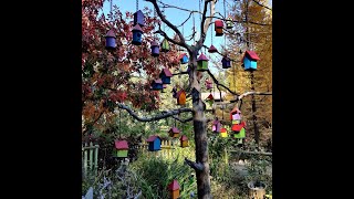 Tizer Botanic Garden & Arboretum (MT), Fall 2020