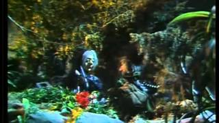 Des Bauern schwatzhafte Frau