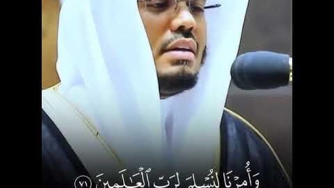 سورة الأنعام - بصوت القارئ ياسر الدوسري