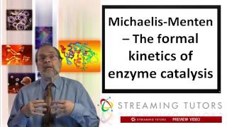 Biochemistry   Enzyme Kinetics tutorial
