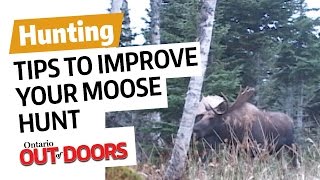 Tips to improve your moose hunt