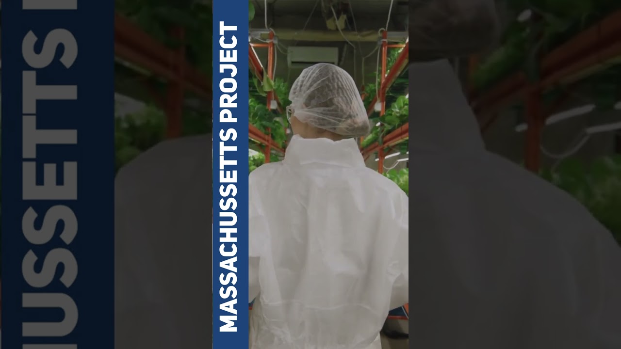 April 2023 Project Highlights | Surna Cultivation Technologies