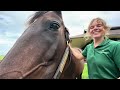 Foal Friday: Quality Road and Good On Paper Filly