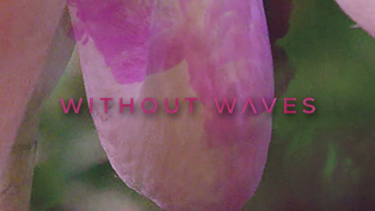 Watch WITHOUT WAVES - SLEIGHT IN SHADOWS (OFFICIAL VISUALIZER) on YouTube Watch WITHOUT WAVES - SLEIGHT IN SHADOWS (OFFICIAL VISUALIZER) on YouTube