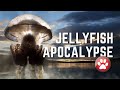 Top 10 Poisonous Jellyfish 🤪 Funny Cute Cats Dogs 2021