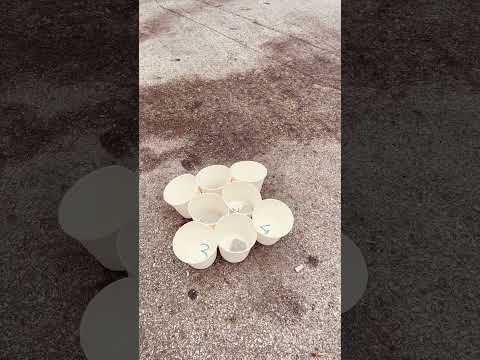 Mini game đang diễn ra tại Vũ Môn Ninh Bình các bác ơi. Trúng là được cần savic luôn!