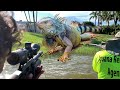 Clearing out Lake iguanas with My Fx impact M3 .22 Cal! Iguana Removal Job!