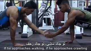 Shabjdeed - ko7ol w 3atme (English lyrics) شب جديد - كحل و عتمة  كلمات