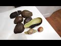 End of video
