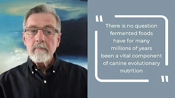 Why Fermented Foods Are Vital for Dogs with Dr. Ian Billinghurst