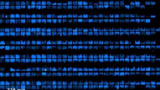 Celebrity Biopixels Wealth