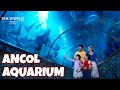 ANCOL AQUARIUM  |  SEA WORLD | part 1