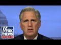 McCarthy unleashes on Dems for prioritizing 'cats and cannabis, not covid'