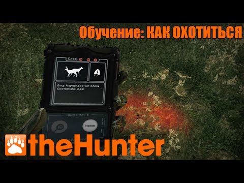 The Hunter | Обучение: Как охотиться