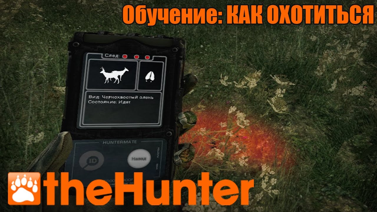 The Hunter | Обучение: Как охотиться