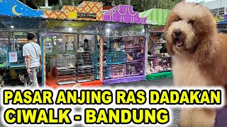 Pasar Anjing Ras Dadakan Di Ciwalk Bandung