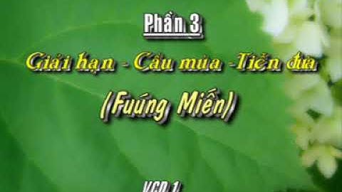 [Phim tài liệu] Lễ cấp sắc 3 đèn của người dân tộc Dao Đỏ - Giải hạn, cầu mưa, tiễn đưa.