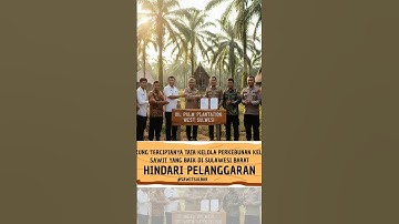 Bersama kita ciptakan tata kelola perkebunan kelapa sawit yang baik, hindari pelanggaran