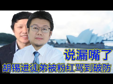 搞笑！ 胡锡进徒弟被粉红骂到破防，疯狂回怼不小心吐露真心，估计干不久了。年纪轻轻学点什么不好非得学叼盘？