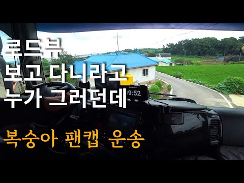 로드뷰 좀 미리 미리 보고 다니라고 했냐 안했냐 - 복숭아 과일캡 팬캡 운송[5톤 <strong>콜바리</strong> 화물차 기사의 일상 EP418]