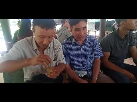 giá vé khu du lịch cồn phụng 2022 Thăm khu du lịch Cồn phụng , Bến Tre .