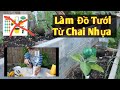 Xin Chào Houston 43: Tự Làm Tưới Nhỏ Giọt Bằng Chai Nhựa| Plastic Bottle Drip Irrigation System