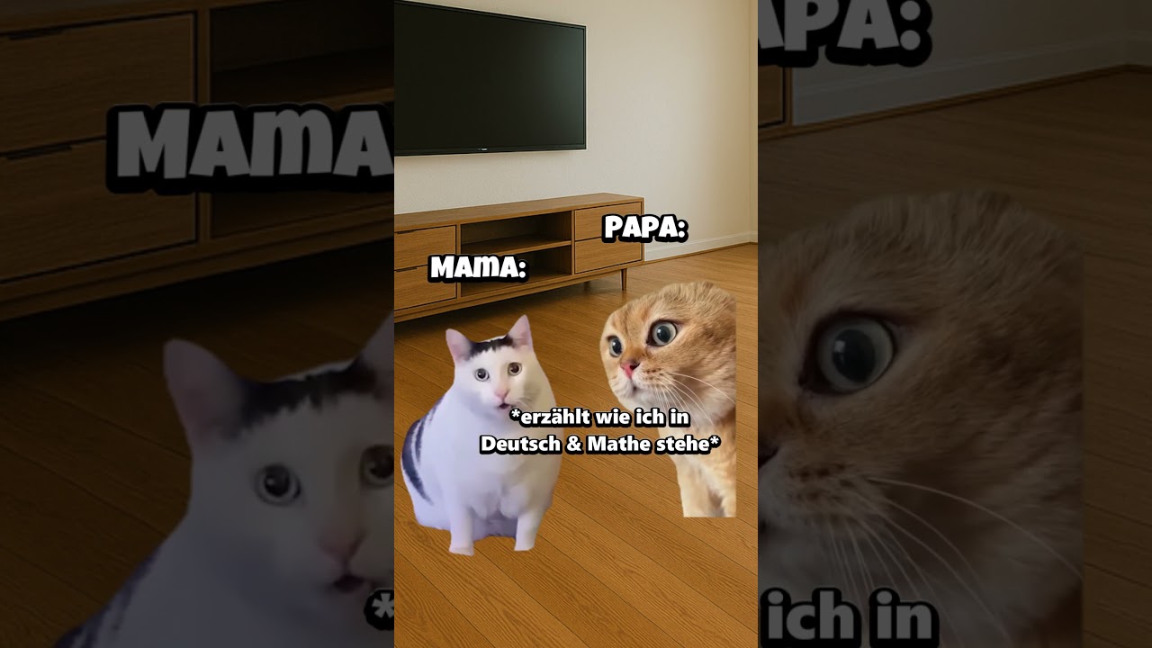 POV: Deine Eltern kommen vom Elternsprechtag💀 