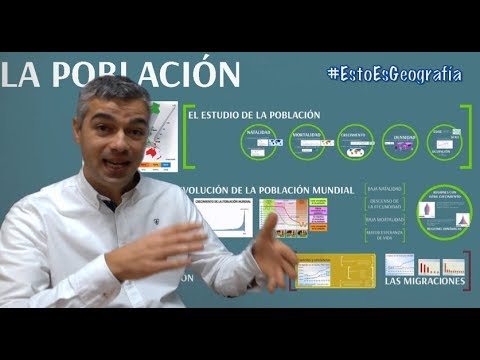 ¿Cómo Se Relaciona El Estado Laboral Con La Demografía?