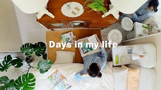 Living alone diary  When things are hard, we have to say that it's hard
