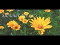 Summer flowers  | HTC One cinematic look  | Full HD 1080p