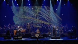 Vamp & Kork - 13 Humler Live