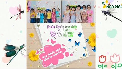 Tạo hình Con chuồn chuồn | Mầm non Hoa Mai Gò Vấp