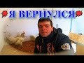 Я вернулся Друзья!