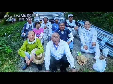 人生の楽園   甦れ　僕らの里山