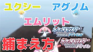 攻略 準伝説ポケモン エムリット アグノム ユクシーの捕まえ方 ダイパリメイク Youtube