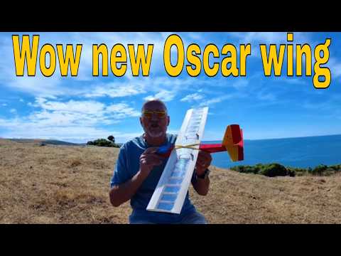 Test Flight Oscar Aerobatic wing 2