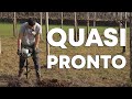 Ho spostato il VIGNETO