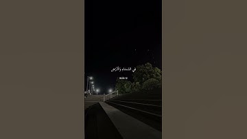 سورة الأنبياء | القارئ: اسلام صبحي
