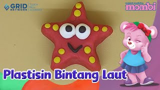 Membuat Plastisin - Bintang Laut