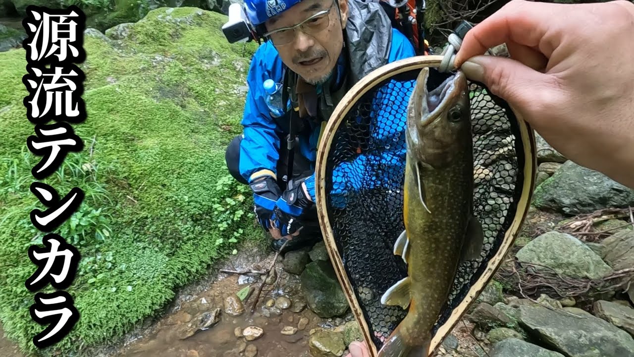 〈白山南麓〉釣りごたえあり！再び秘密の源流へ【源流テンカラ】
