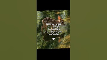 لا تنسوا قراءة سورة الكهف فإنها نور ما بين الجمعتين 💗💗 جمعة مباركة 🤍