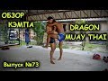 Обзор кэмпа DRAGON MUAY THAI PHUKET/ проживание, тренировки  муай тай на Пхукете