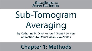 1.7 Sub-Tomogram Averaging